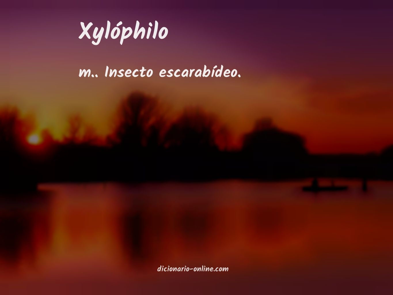 Significado de xylóphilo