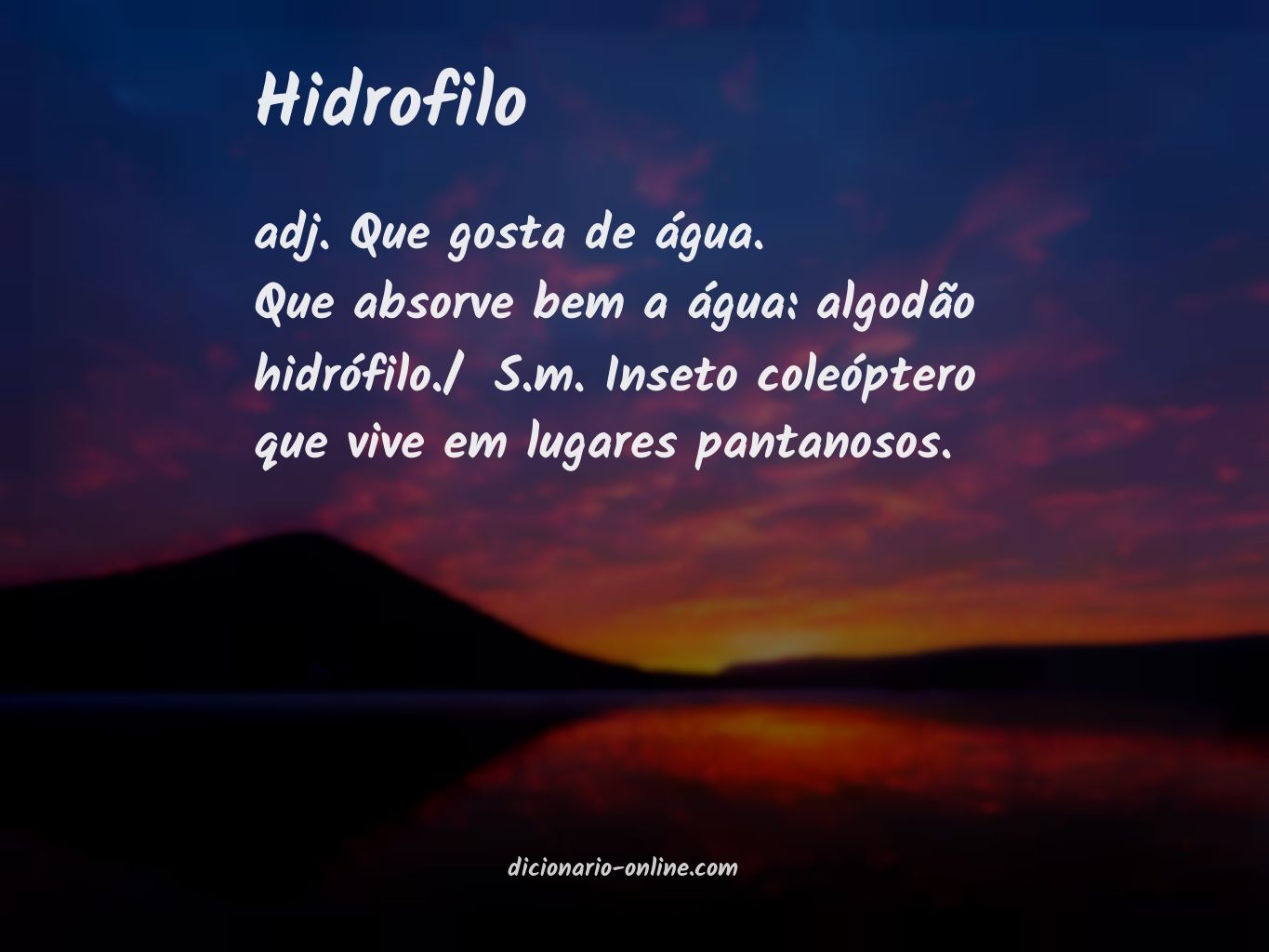 Significado de hidrofilo