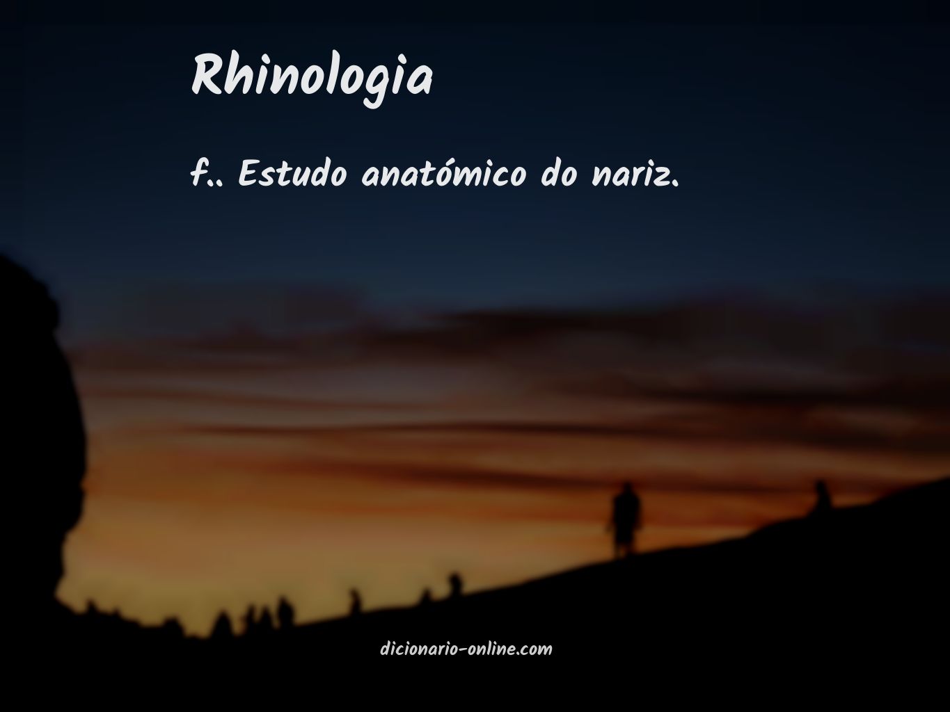 Significado de rhinologia