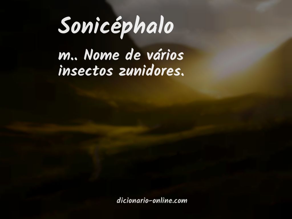 Significado de sonicéphalo