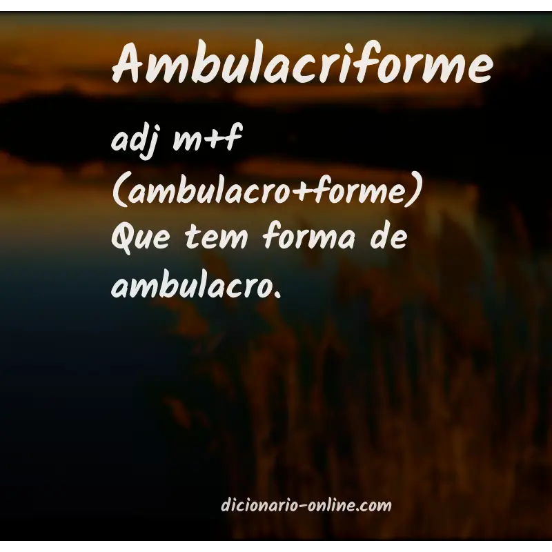Significado de ambulacriforme