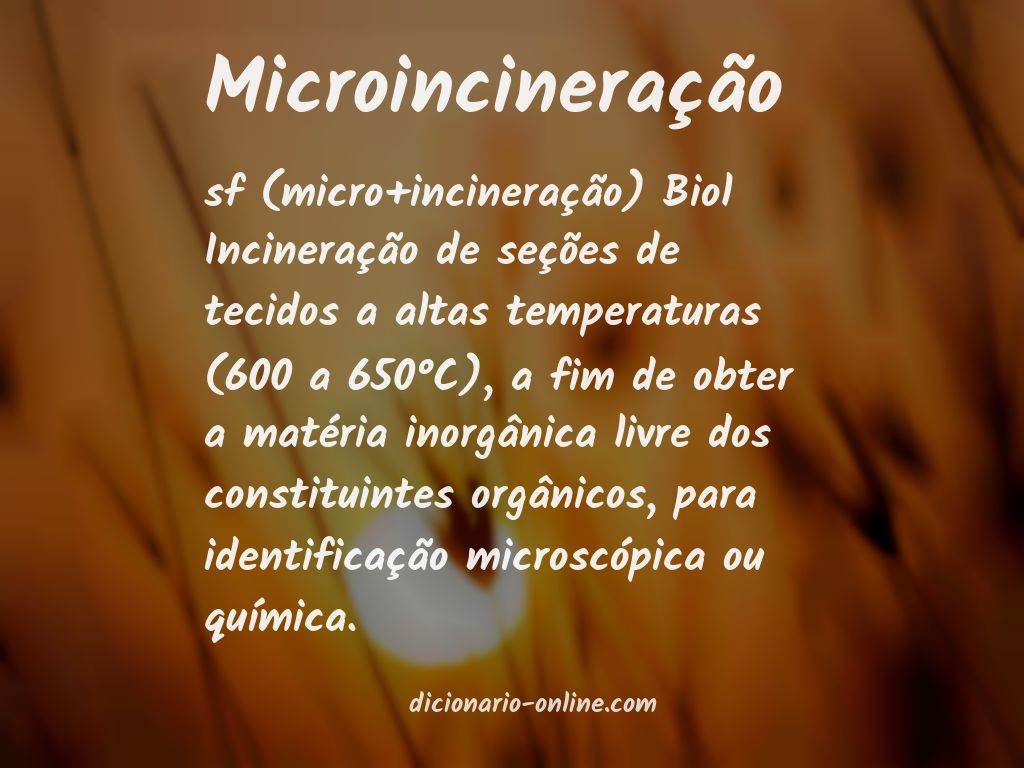Significado de microincineração