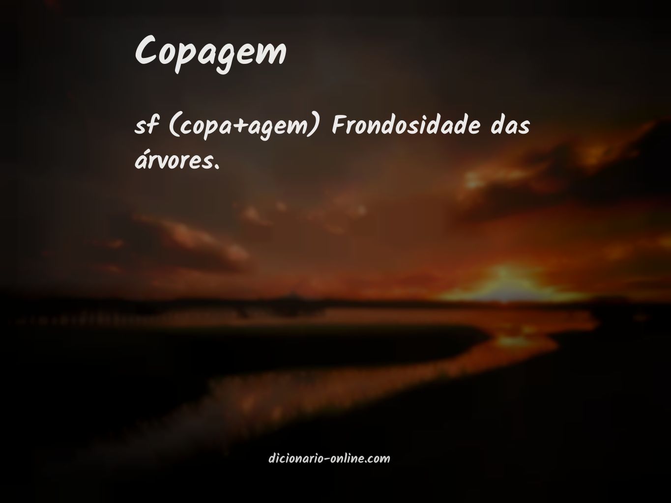 Significado de copagem