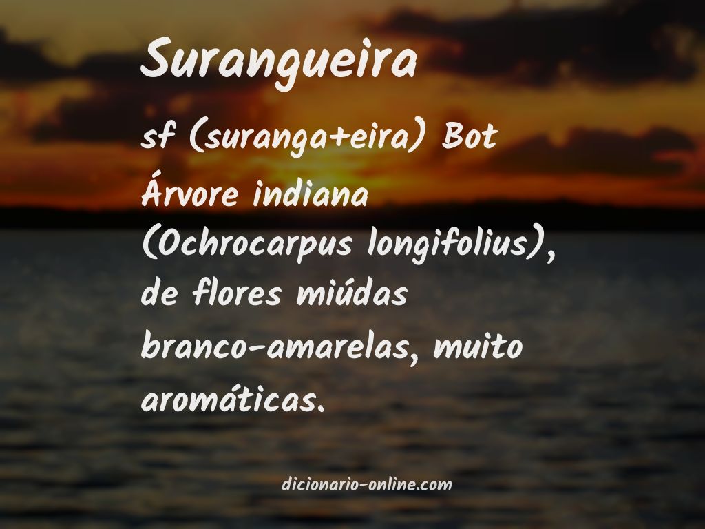 Significado de surangueira