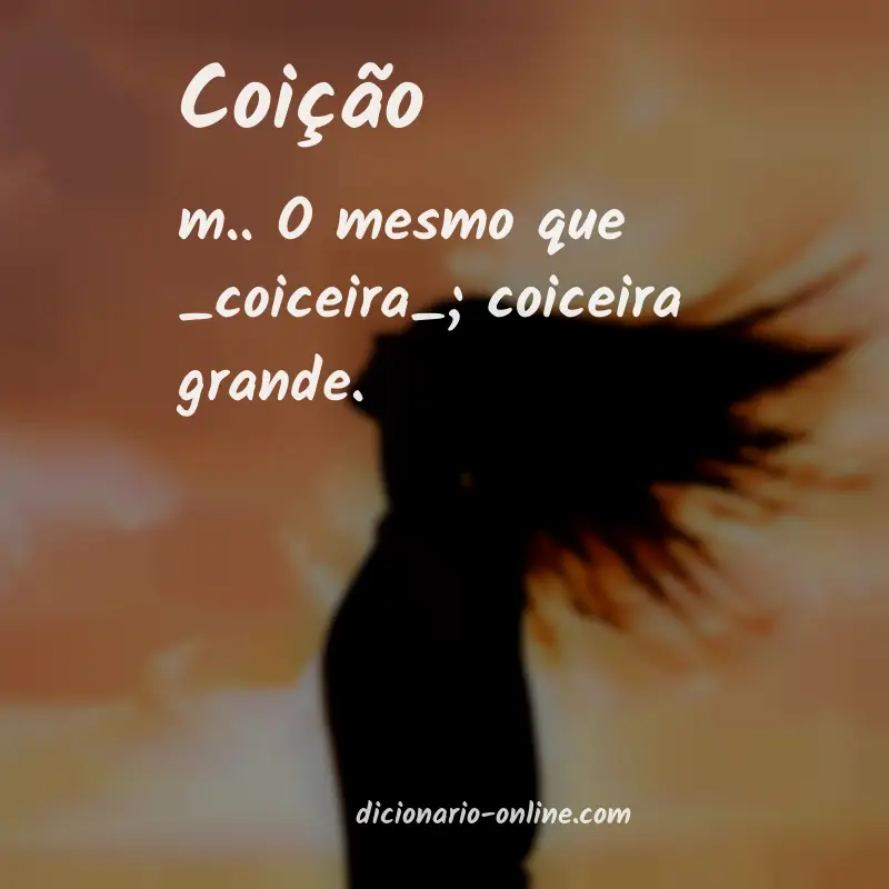 Significado de coição