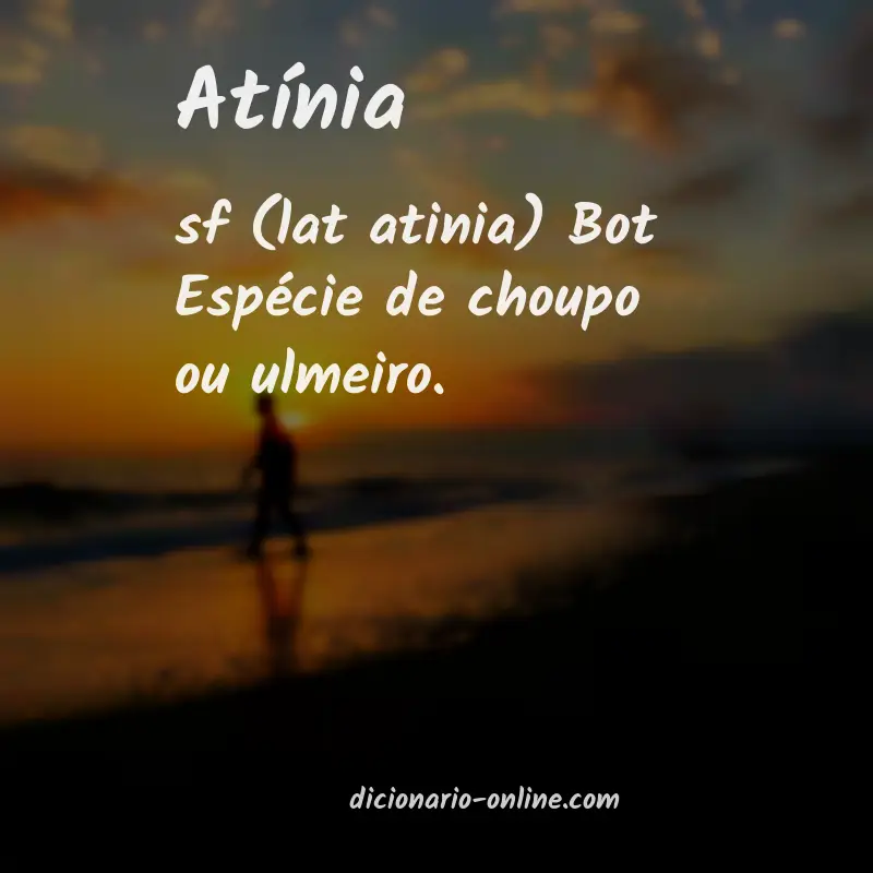 Significado de atínia
