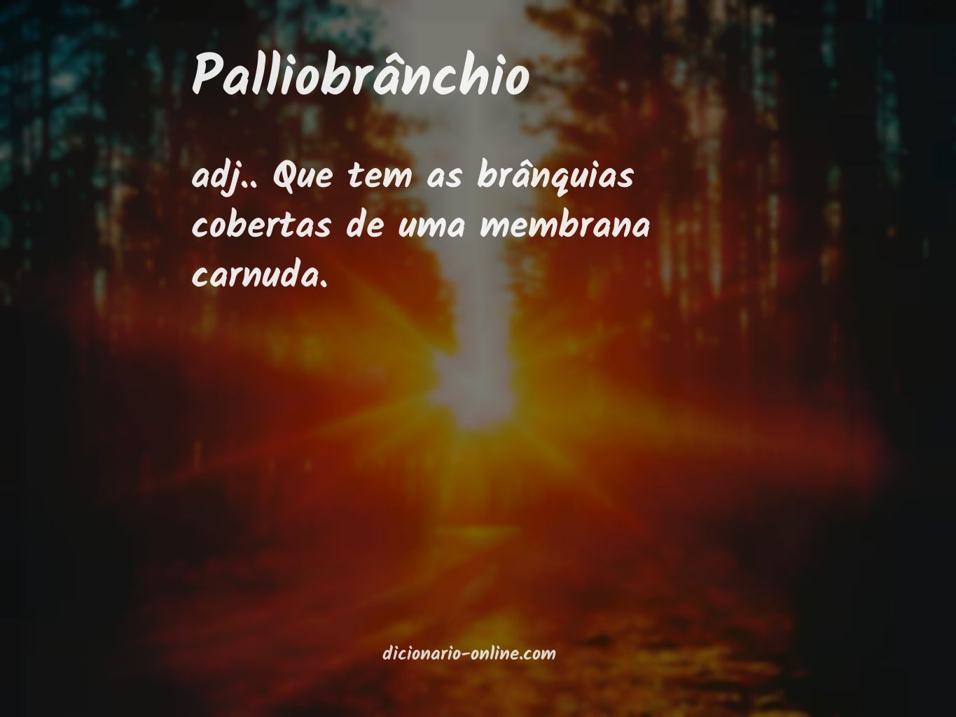 Significado de palliobrânchio