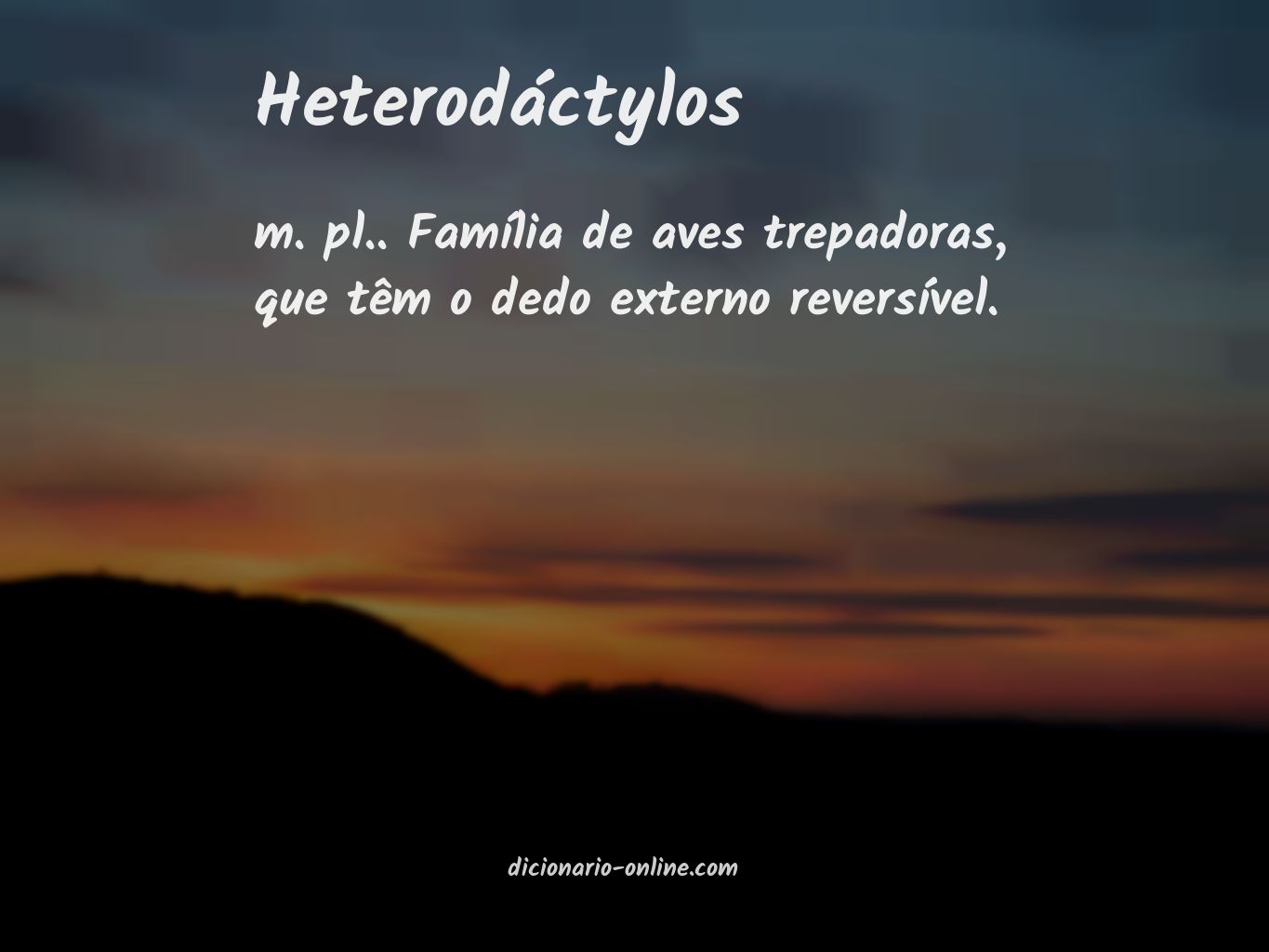 Significado de heterodáctylos