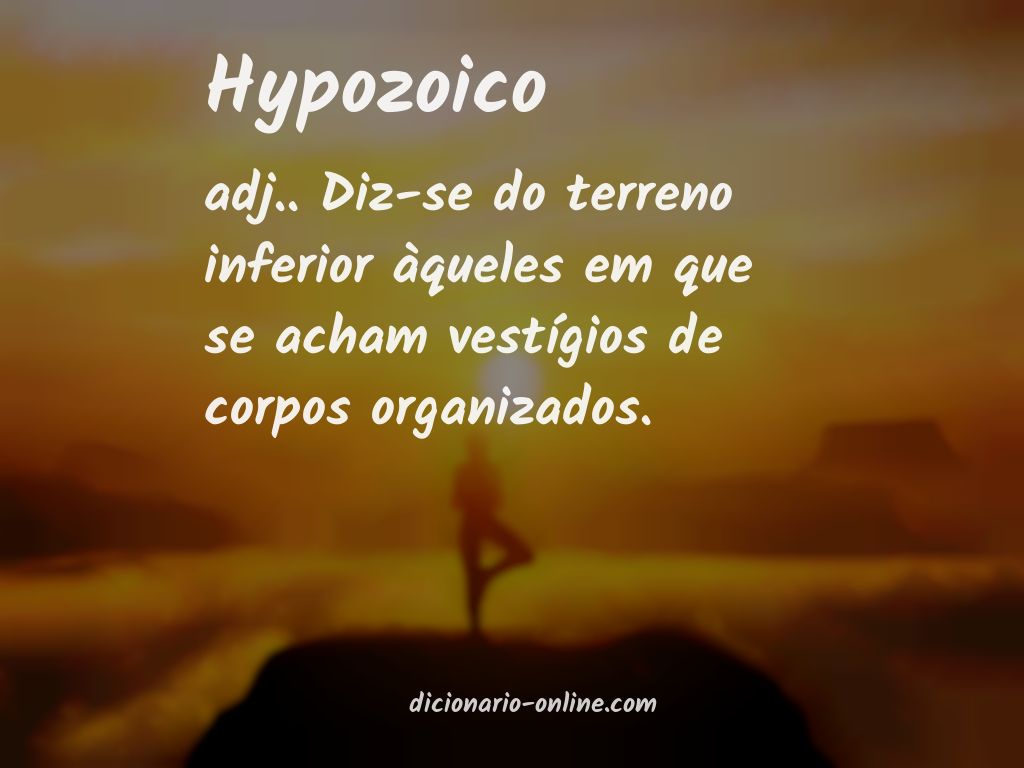 Significado de hypozoico