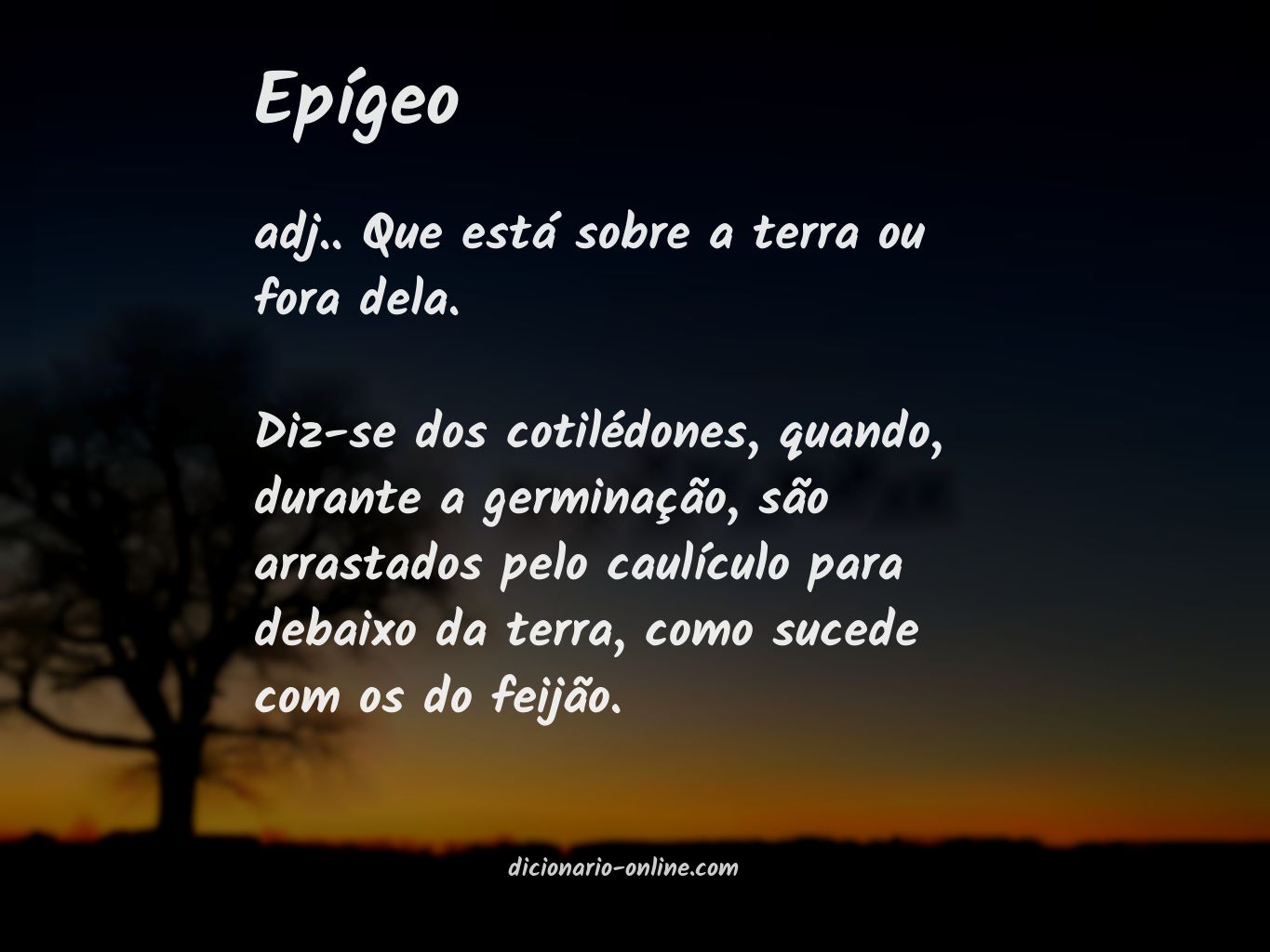 Significado de epígeo