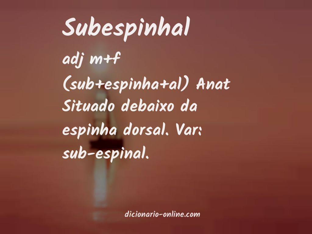 Significado de subespinhal