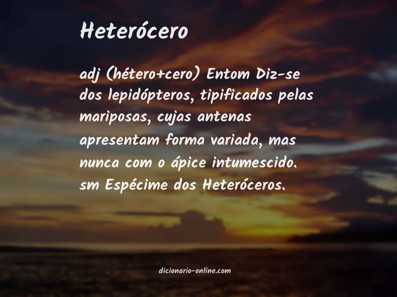 Significado de heterócero