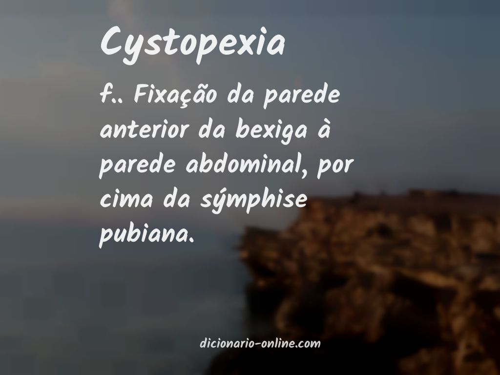 Significado de cystopexia