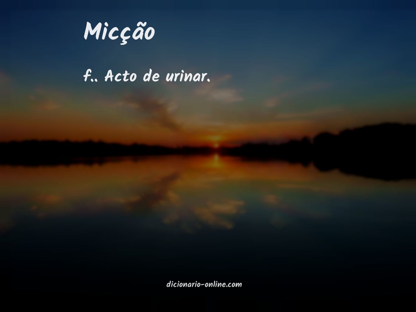 Significado de micção