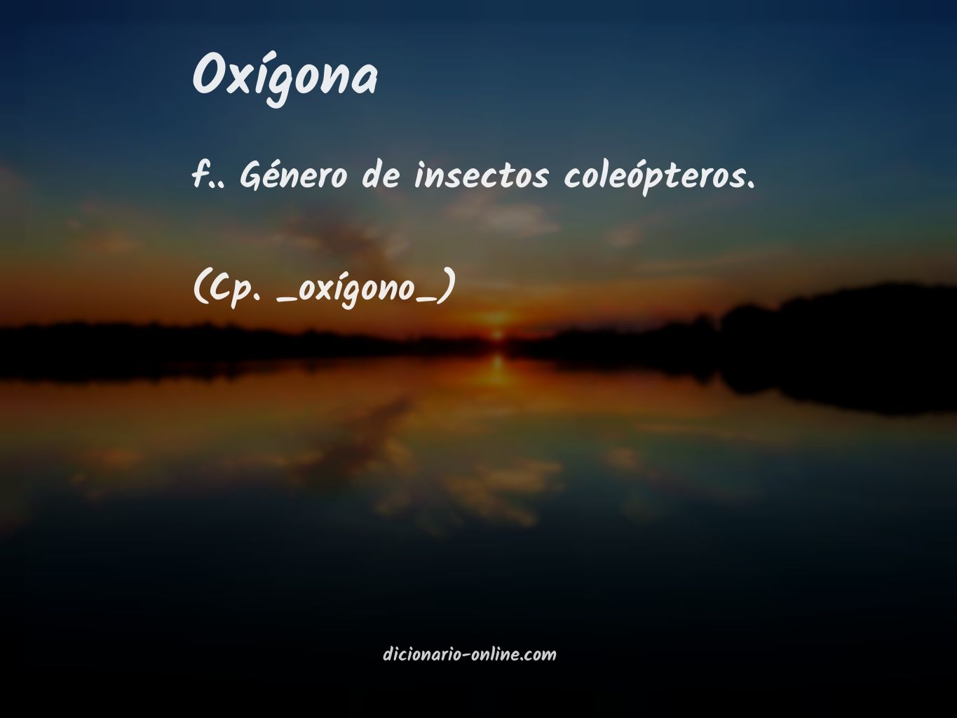 Significado de oxígona