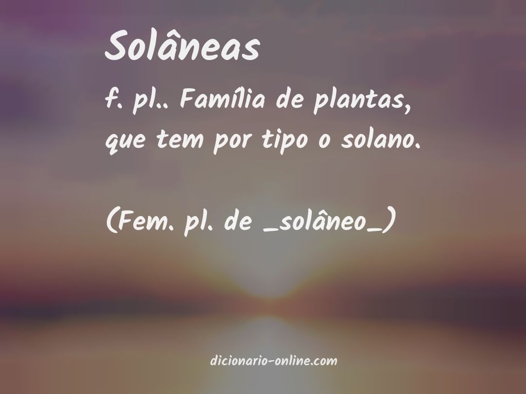 Significado de solâneas