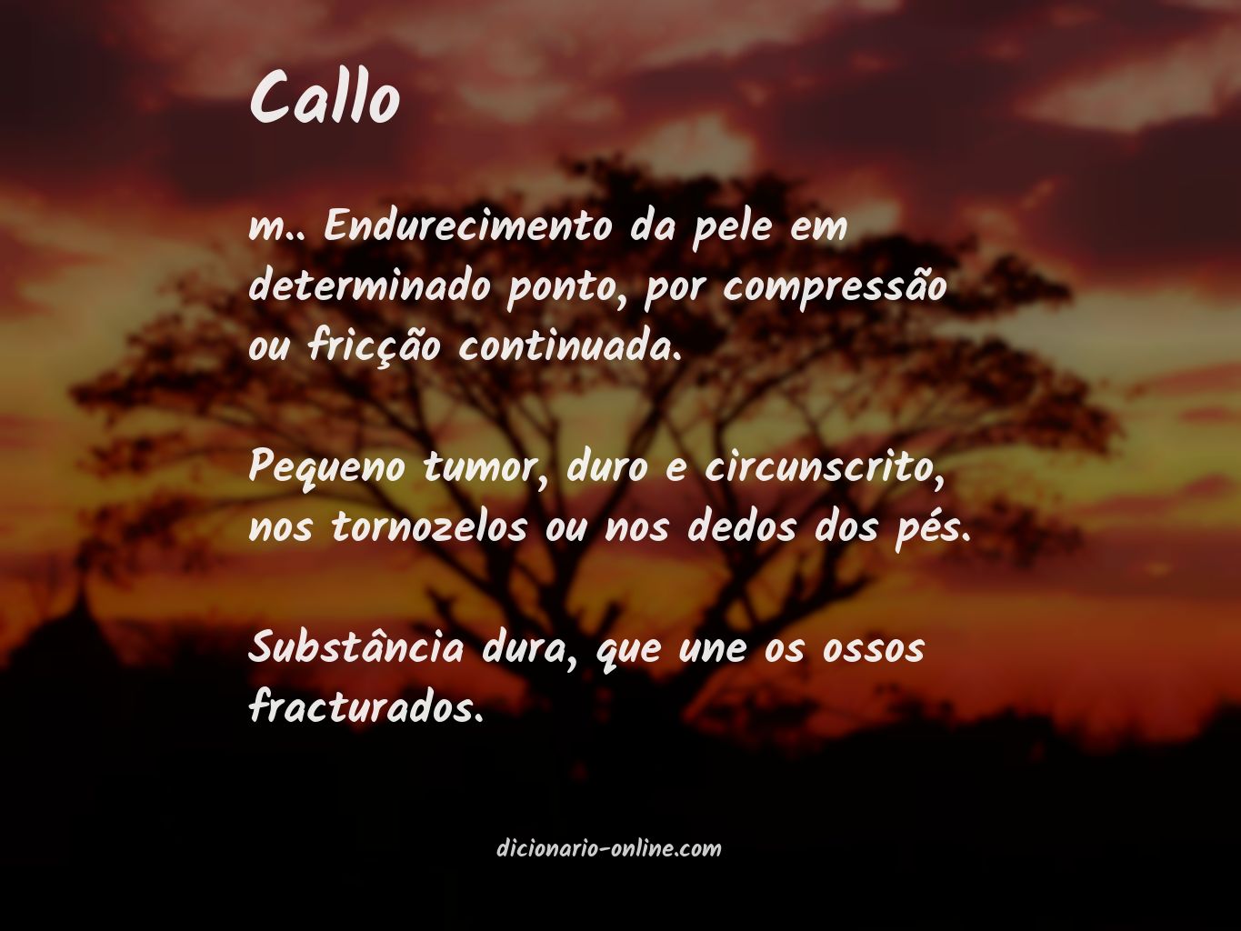 Significado de callo