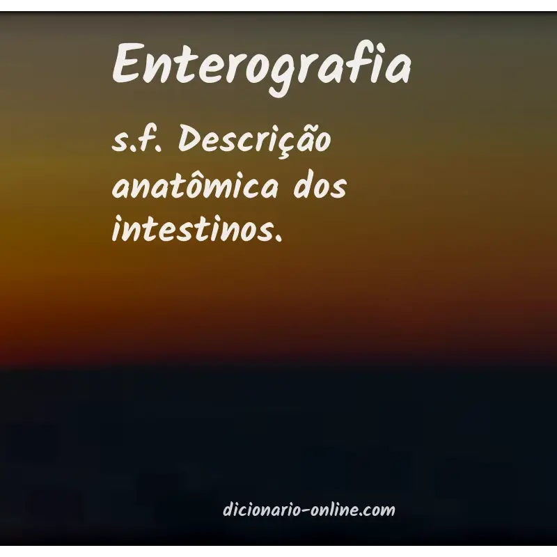 Significado de enterografia