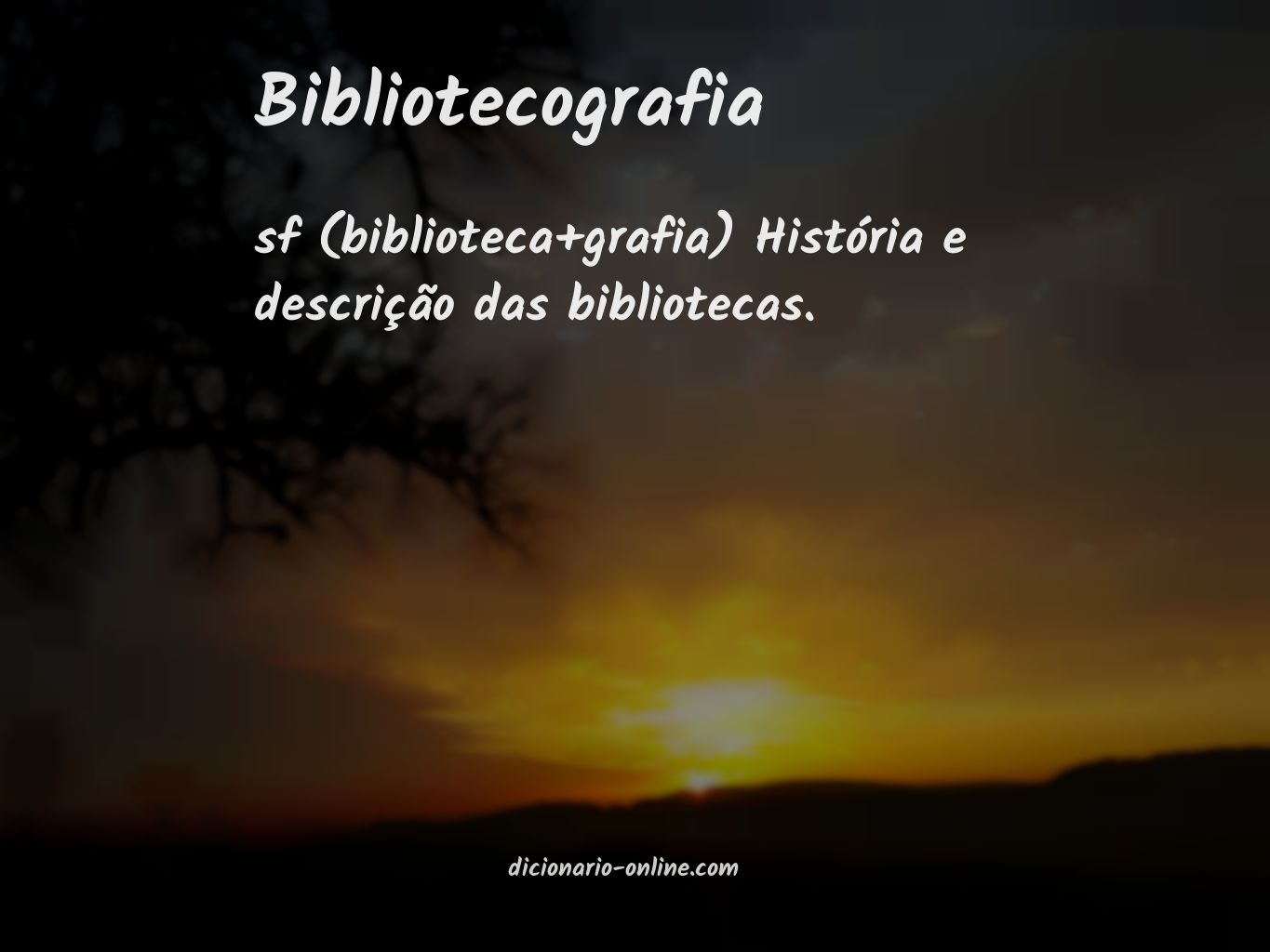 Significado de bibliotecografia