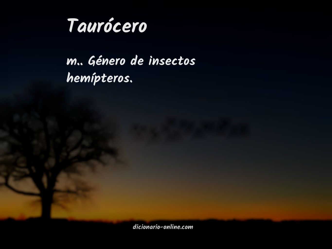 Significado de taurócero