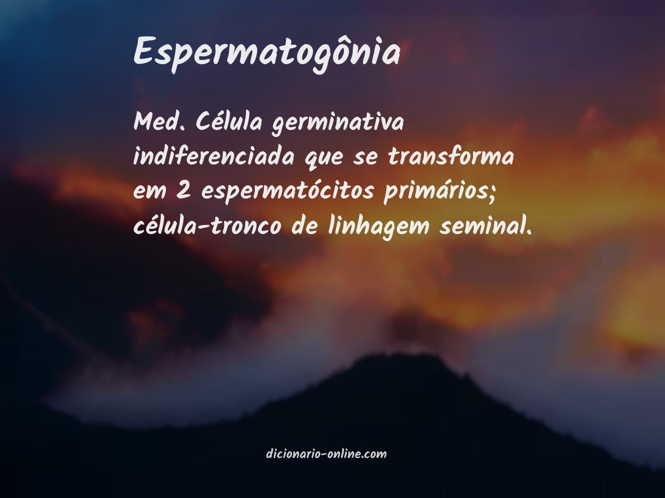 Significado de espermatogônia