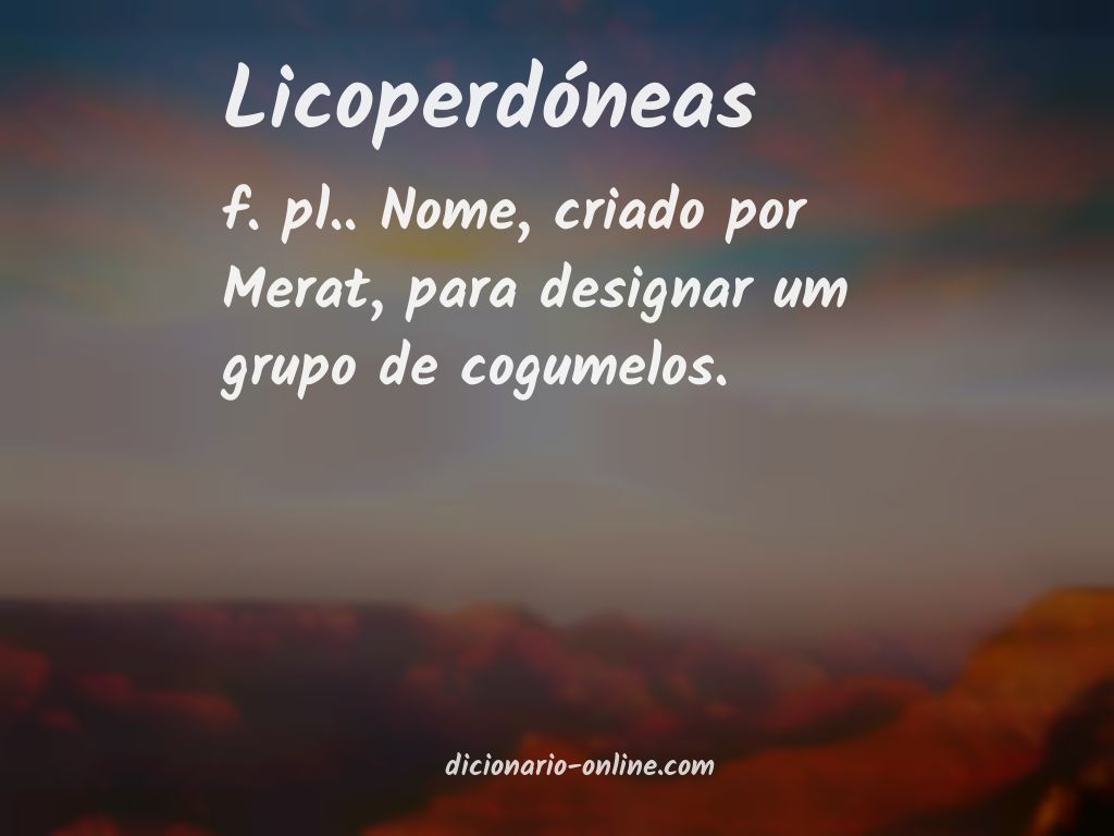 Significado de licoperdóneas