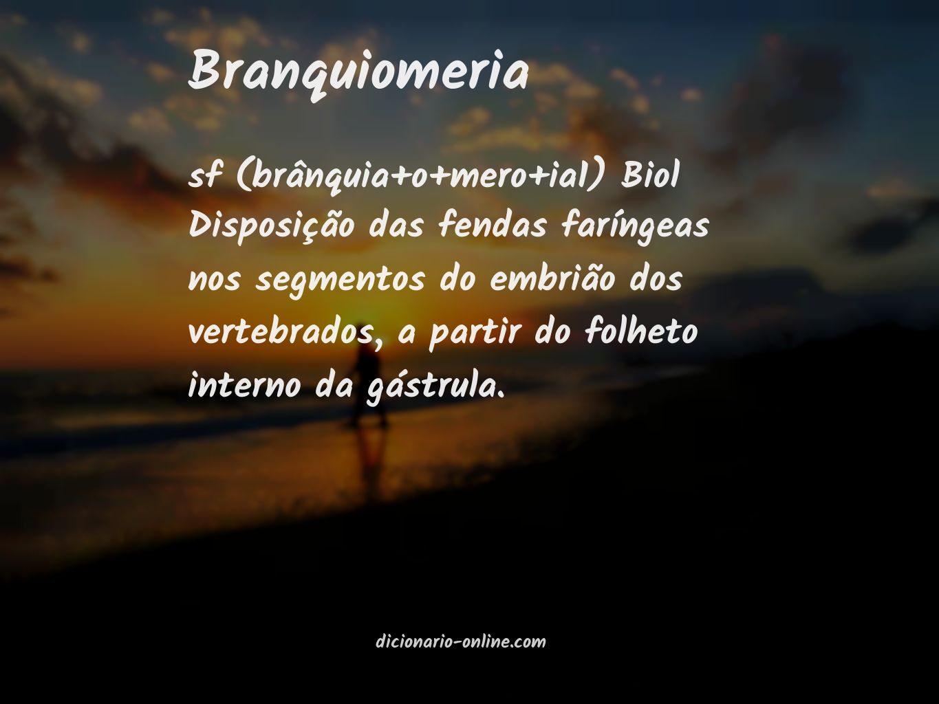 Significado de branquiomeria