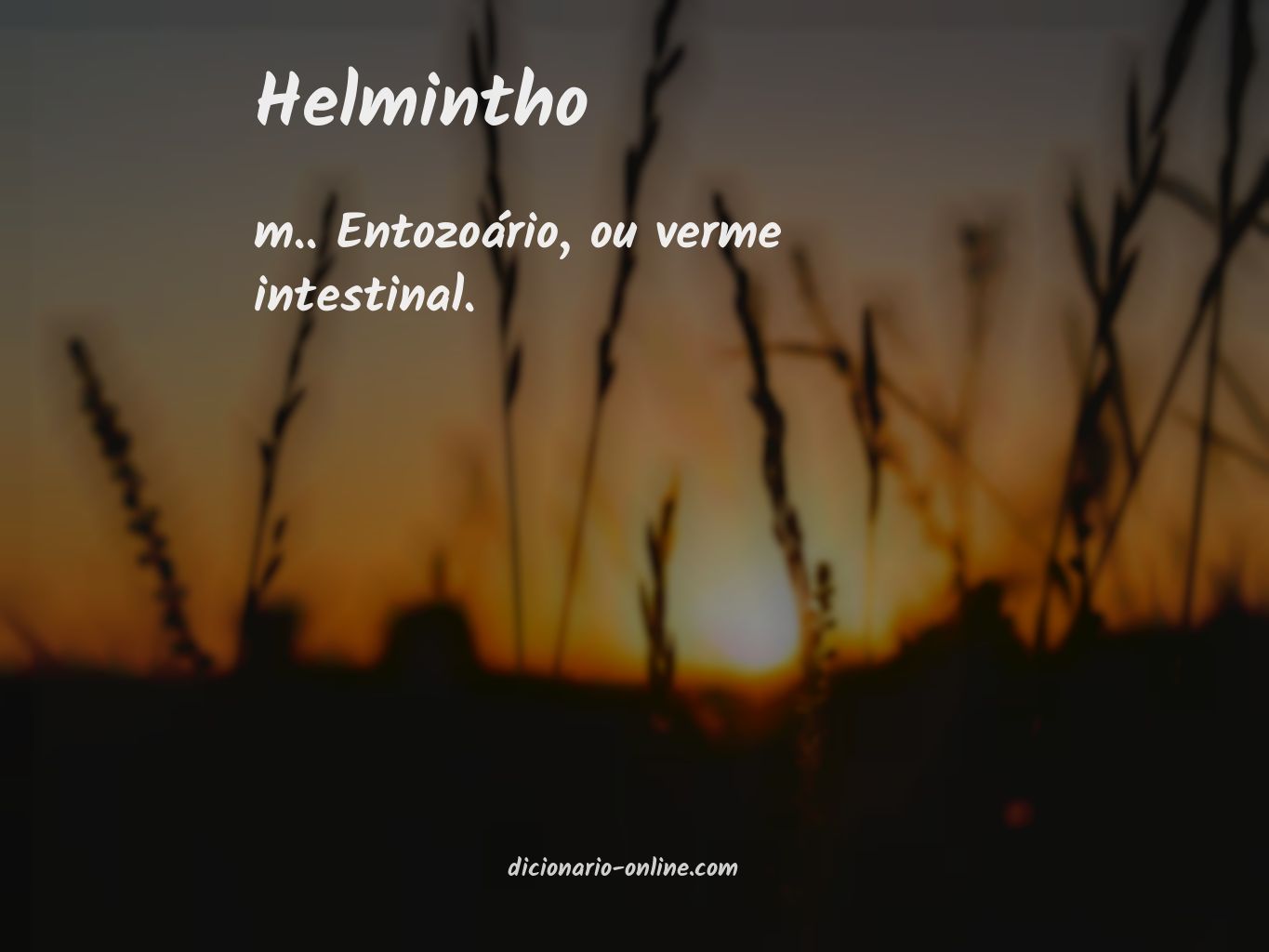 Significado de helmintho