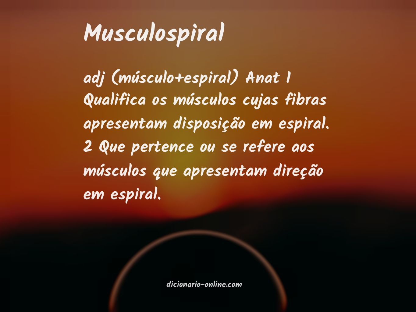 Significado de musculospiral