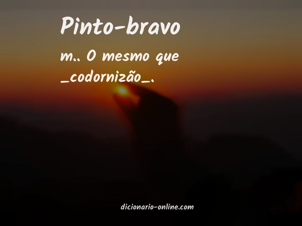 Significado de pinto-bravo