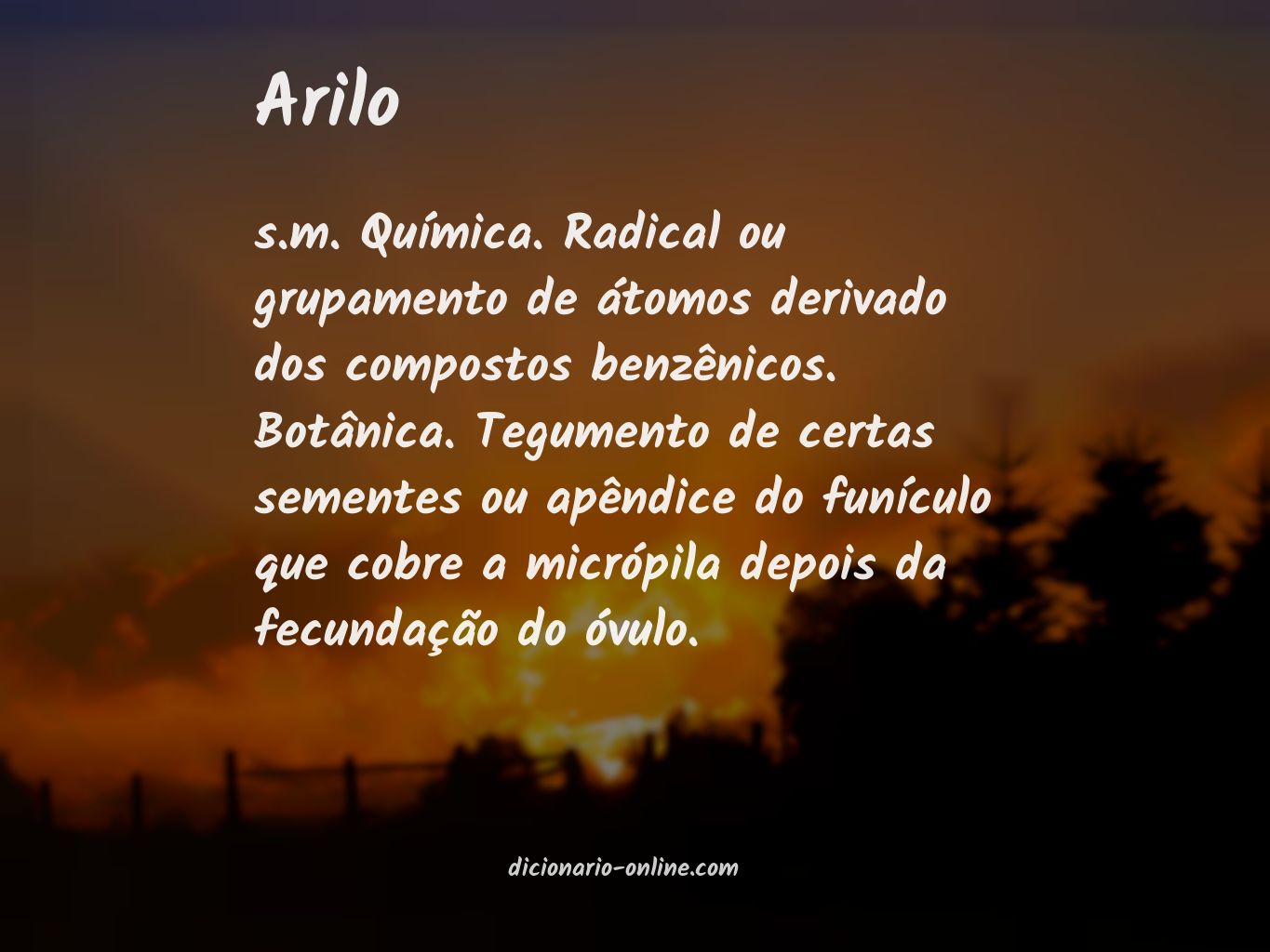 Significado de arilo