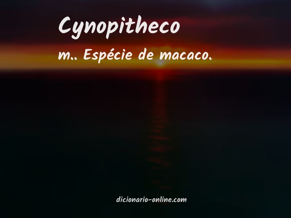 Significado de cynopitheco