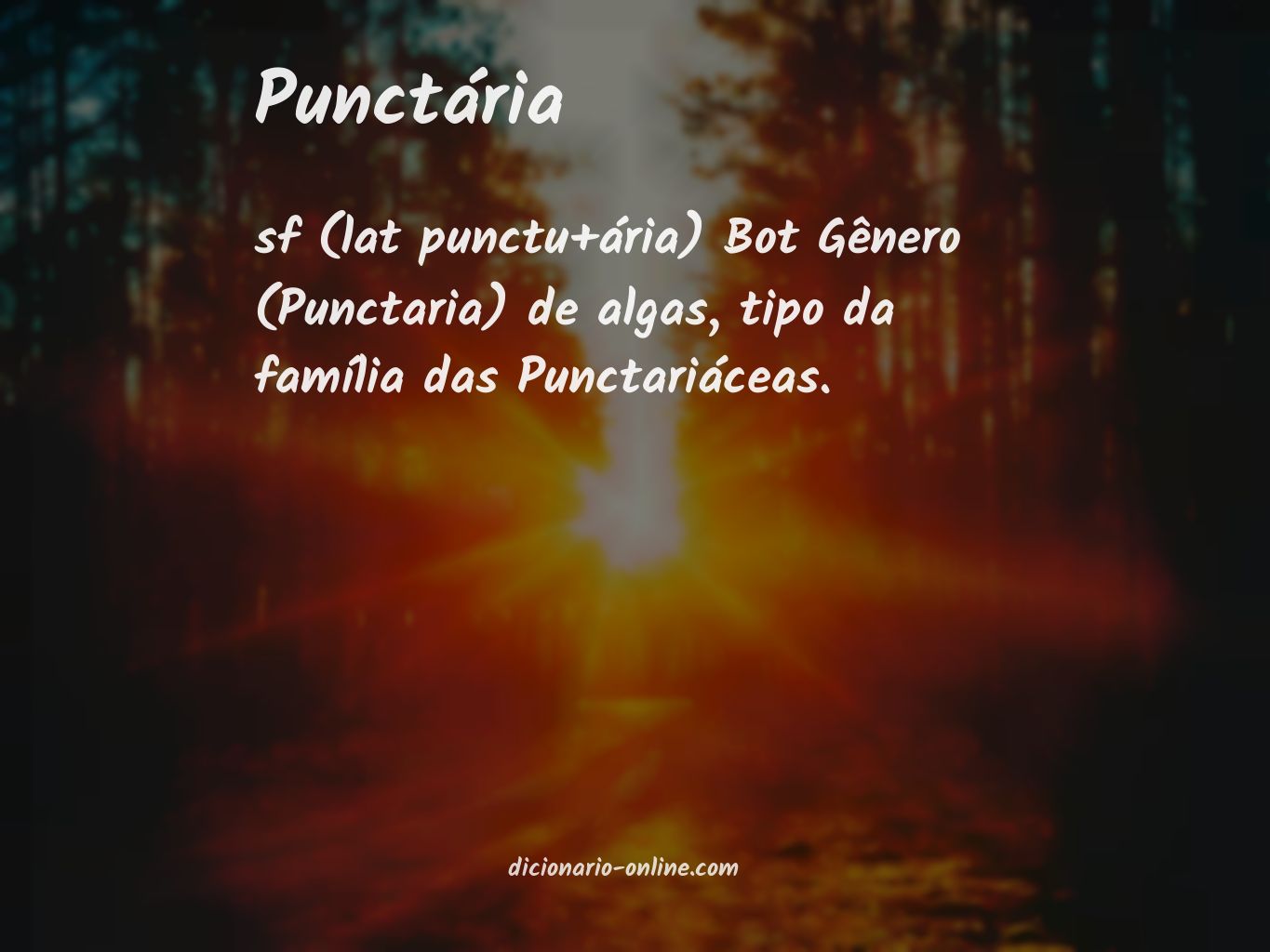 Significado de punctária