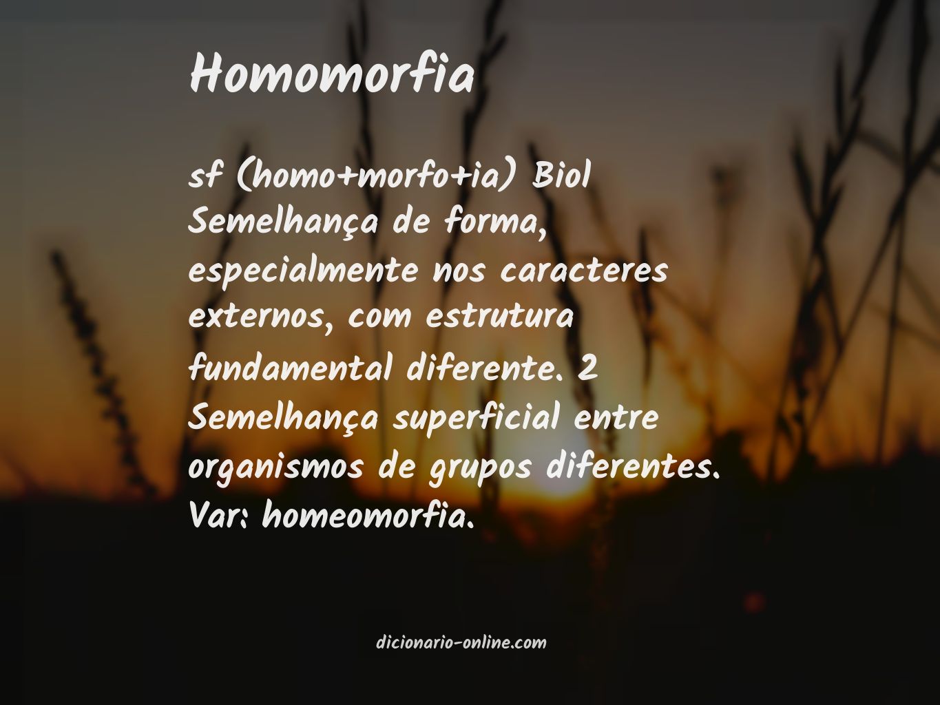 Significado de homomorfia