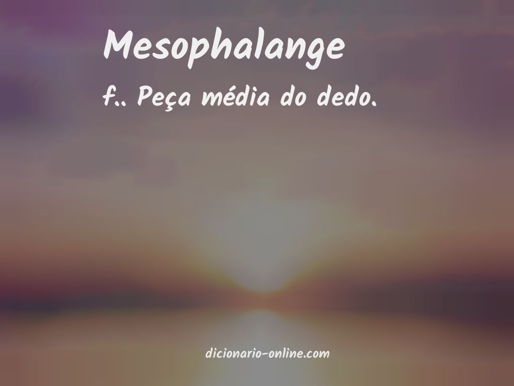 Significado de mesophalange