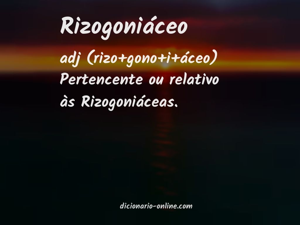 Significado de rizogoniáceo