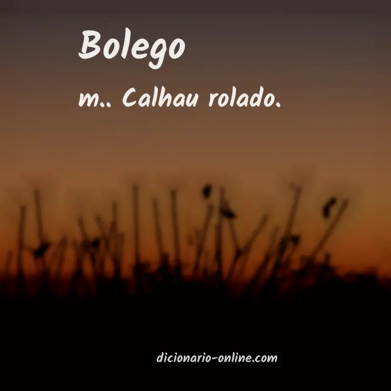 Significado de bolego