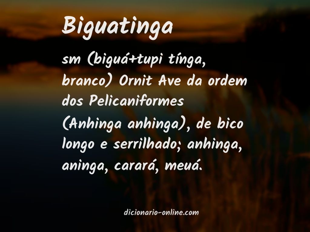 Significado de biguatinga