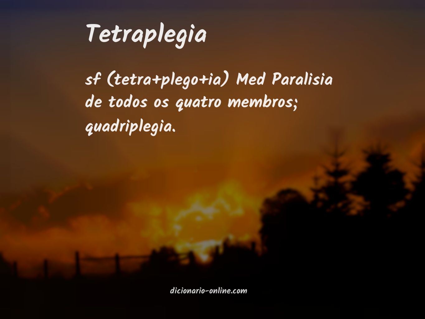 Significado de tetraplegia