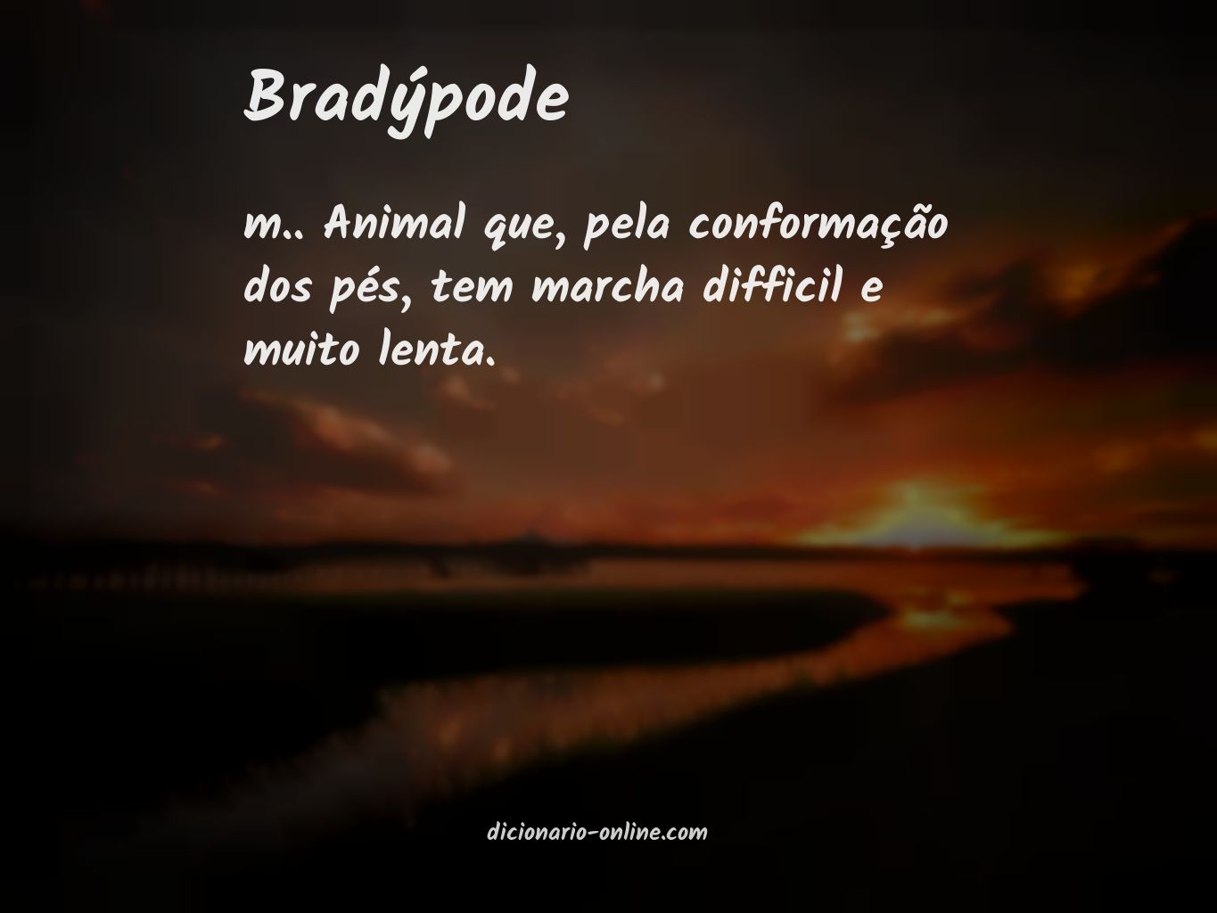 Significado de bradýpode