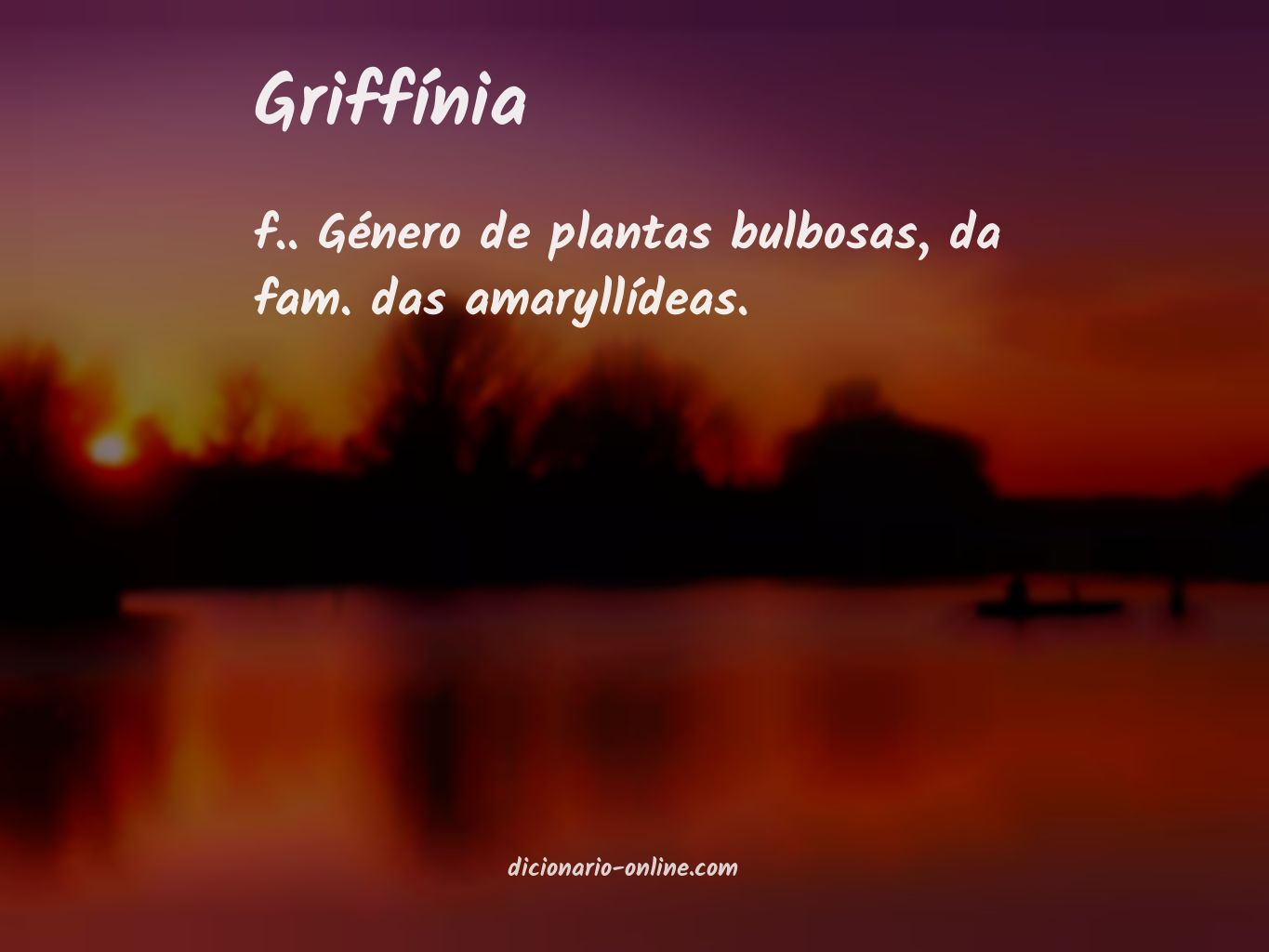 Significado de griffínia