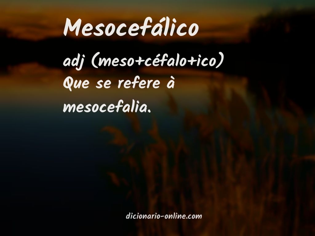 Significado de mesocefálico