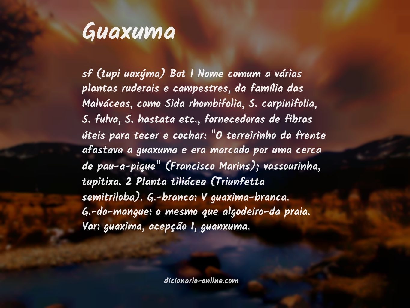 Significado de guaxuma