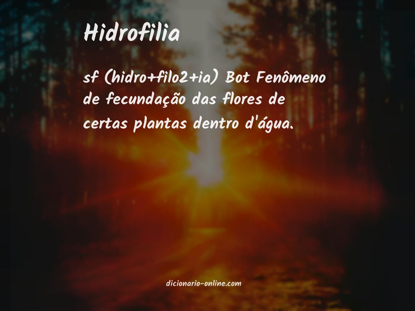 Significado de hidrofilia