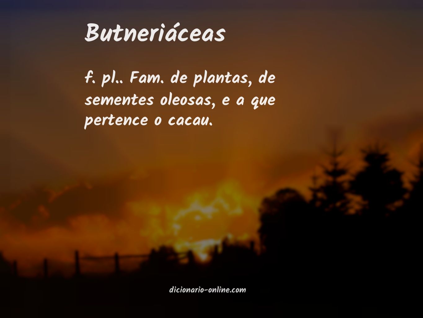 Significado de butneriáceas