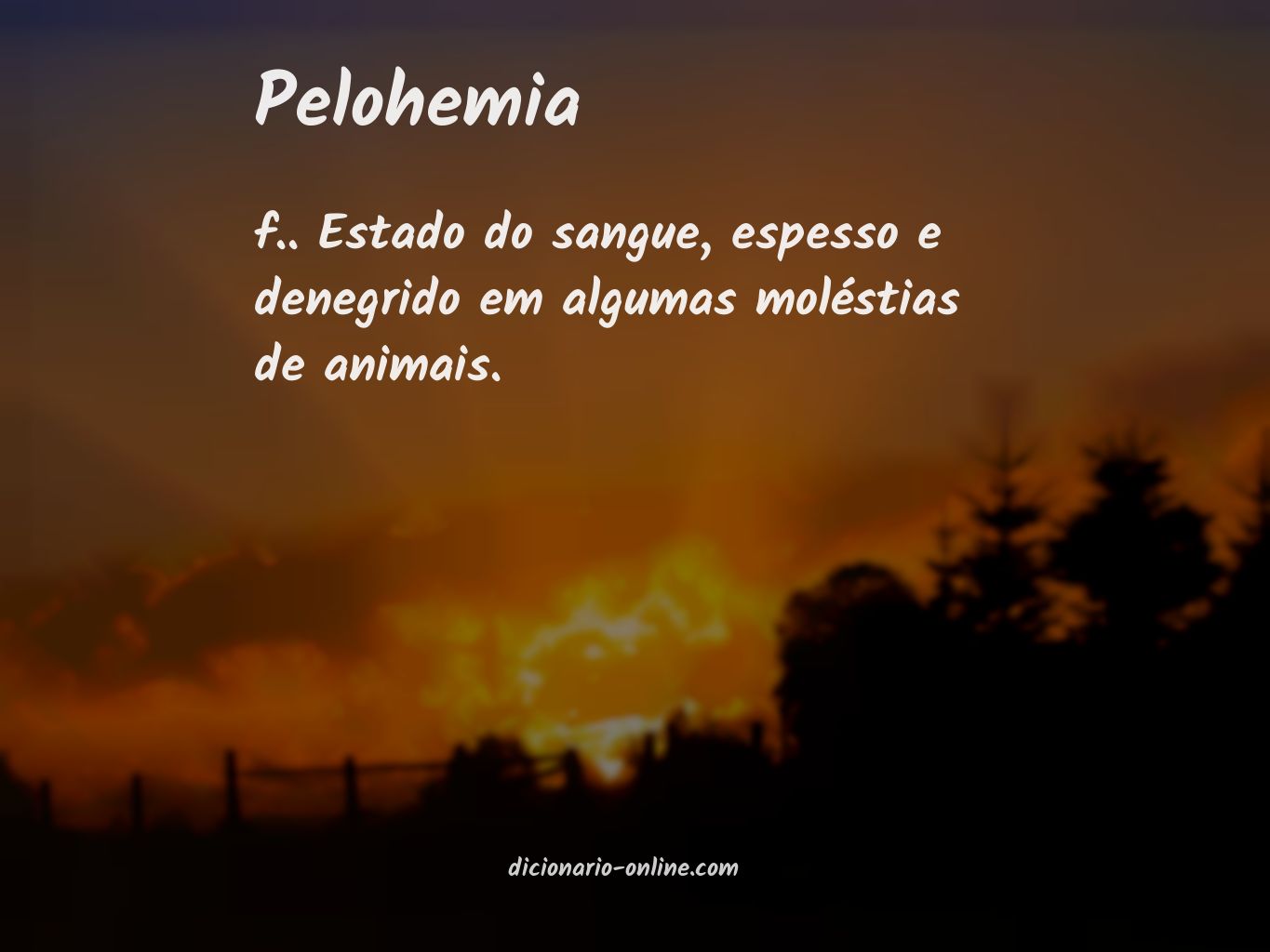 Significado de pelohemia