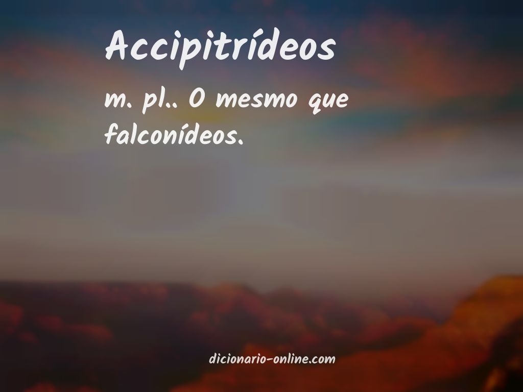 Significado de accipitrídeos