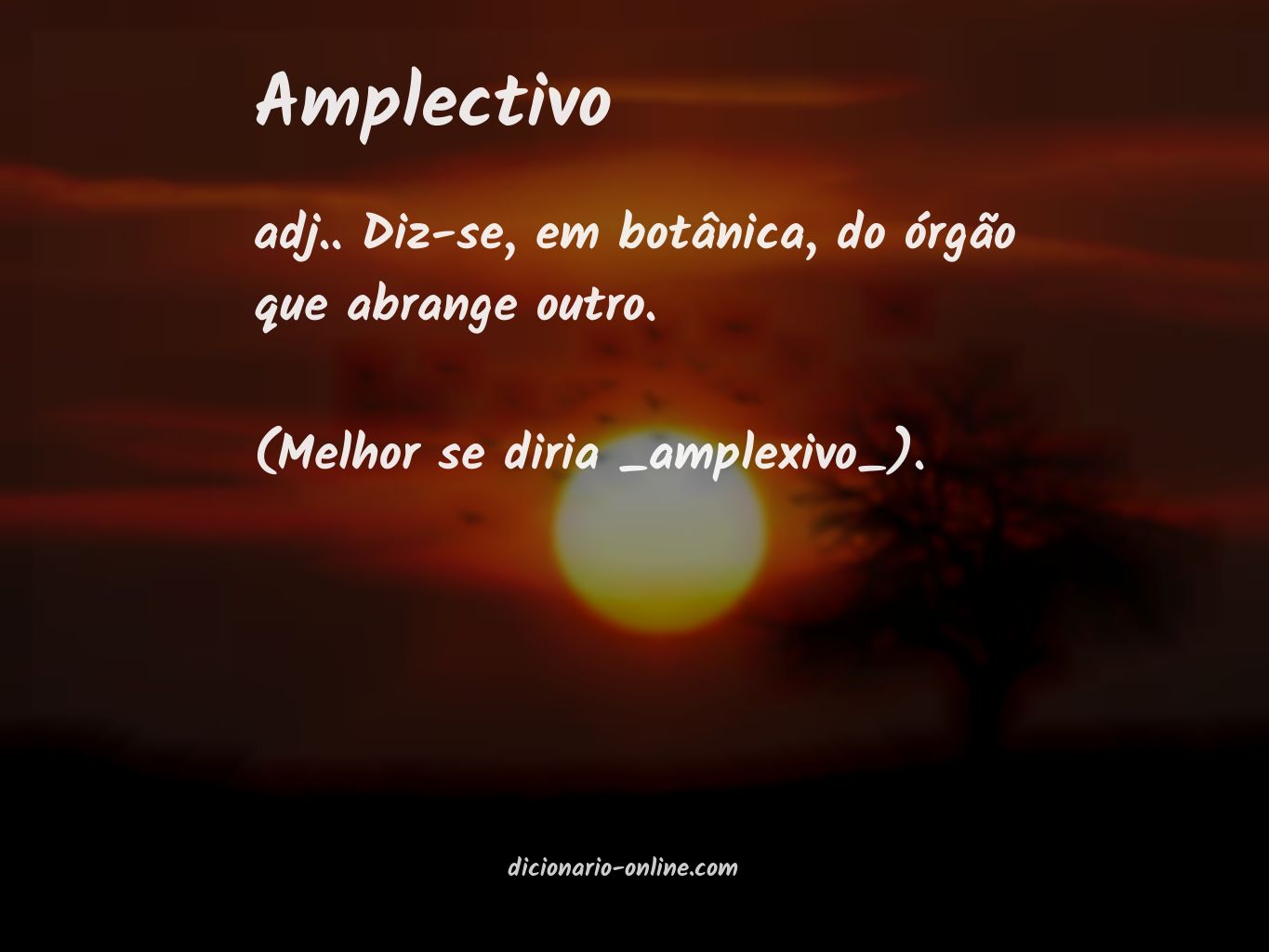 Significado de amplectivo