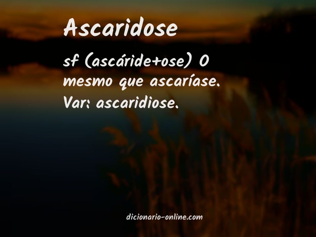 Significado de ascaridose