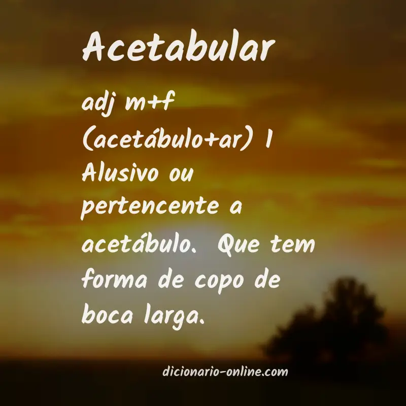 Significado de acetabular